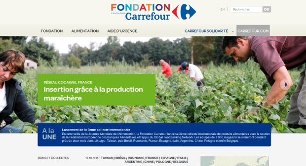 Carrefour Foundation_website
