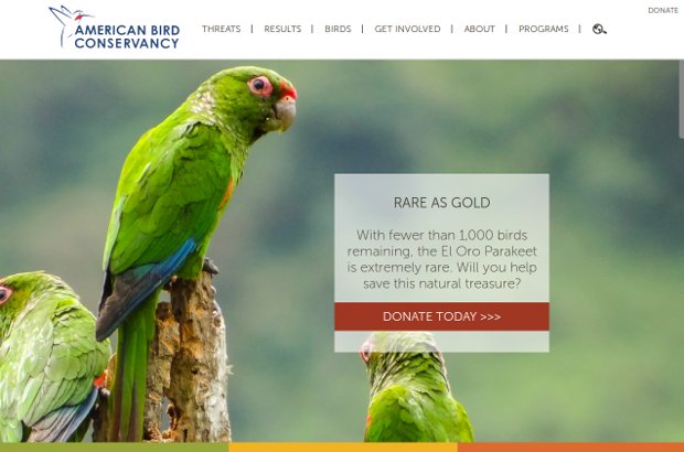American Bird Conservancy_homepage