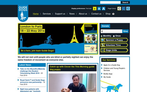 Guide Dogs UK Charity_homepage