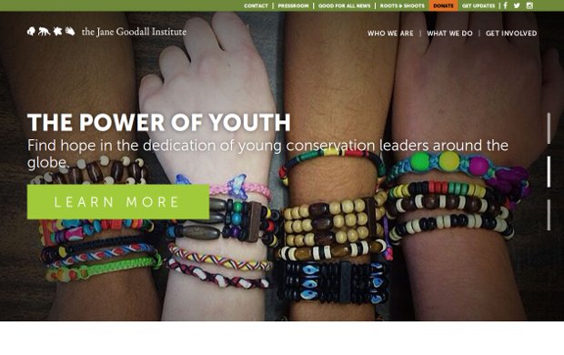 the Jane Goodall Institute_homepage