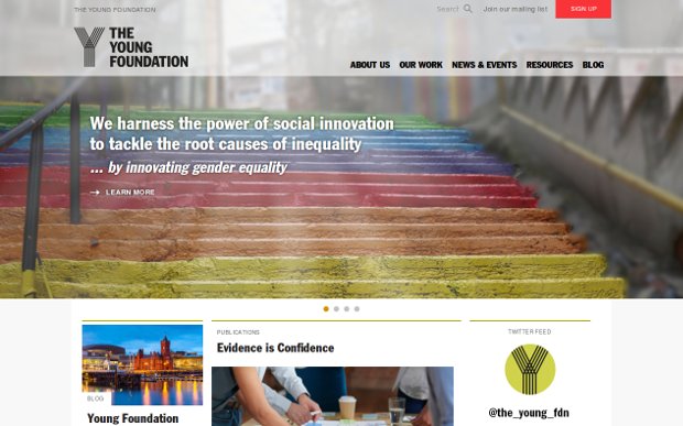 The Young Foundation_homepage