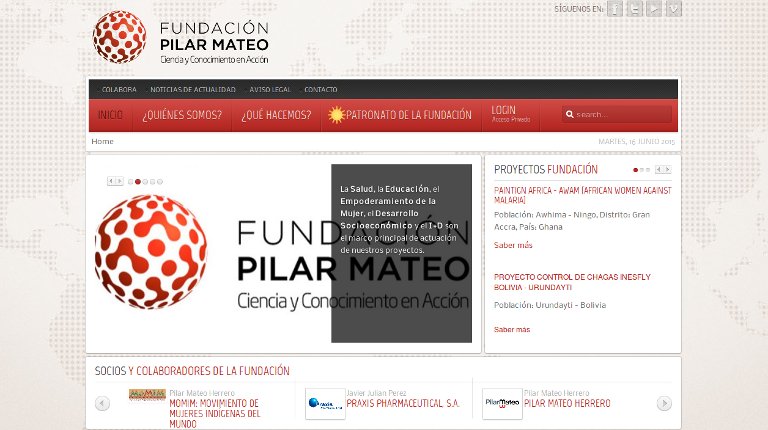Fundacion_Pilar_Mateo_webpage
